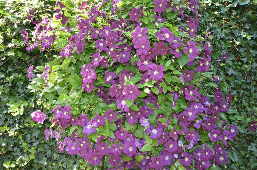 Bed and Breakfast Bloemenhoeve à Birdaard Extérieur photo